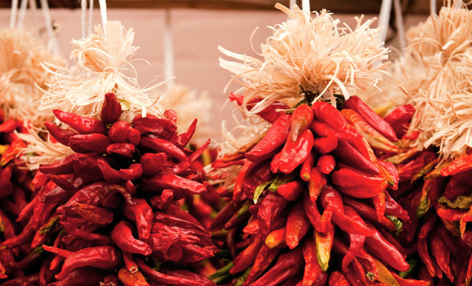  Exploring the Tradition and Craft of Chile Ristras